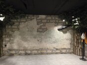 Obyekt - Sahil m. - 424 m²