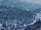 Продаётся  участок 12 сот, photo 8 from 8