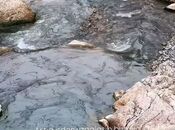 Продаётся  участок 12 сот, photo 1 from 8