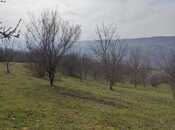 Satılır  torpaq 28 sot, photo 3 from 8