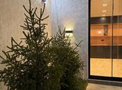 Satılır 4 otaqlı həyət evi/bağ evi 150 m², Mərdəkan q., photo 8 from 8
