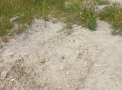 Продаётся  участок 6 сот, пос. Бадамдар, photo 5 from 7
