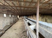 Участок - пос. Говсан - 200 сот