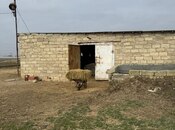 Участок - пос. Говсан - 200 сот