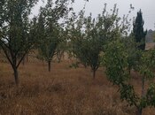 Продаётся  участок 30 сот, photo 6 from 8