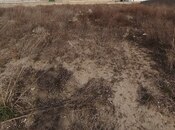 Продаётся  участок 24 сот, пос. Нардаран, photo 5 from 6