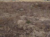 Участок - пос. Нардаран - 24 сот