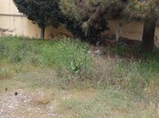 Продаётся  участок 5 сот, пос. Бадамдар, photo 4 from 4
