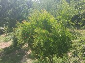 5 otaqlı həyət evi/bağ evi - Digah q. - 120 m²