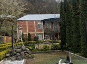 6 otaqlı həyət evi/bağ evi - Göygöl - 200 m²