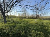 Участок - Гусар - 5 сот