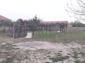 Torpaq - Pirşağı q. - 8 sot