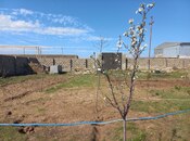 Продаётся  участок 10 сот, пос. Маштаги, photo 3 from 8