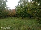 Продаётся  участок 8 сот, photo 7 from 8