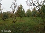 Продаётся  участок 8 сот, photo 6 from 8
