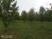 Продаётся  участок 8 сот, photo 8 from 8