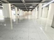 Obyekt - Sahil m. - 1000 m²