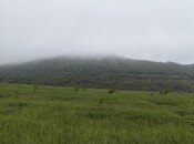 Продаётся  участок 200 сот, photo 7 from 8