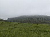Продаётся  участок 200 сот, photo 6 from 8
