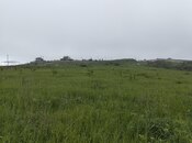 Продаётся  участок 200 сот, photo 8 from 8