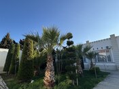 6 otaqlı həyət evi/bağ evi - Şüvəlan q. - 285 m²