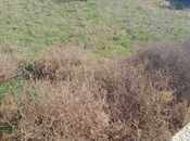 Продаётся  участок 5 сот, пос. Нардаран, photo 3 from 5