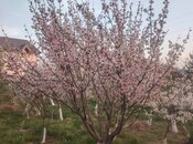 Продаётся 4-комн. дом/дача 180 м², пос. Сарай, photo 2 from 8