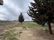 Продаётся  участок 24 сот, пос. Шувеляны, photo 2 from 6