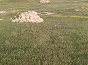 Продаётся  участок 6.6 сот, пос. Геокмалы, photo 1 from 1