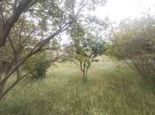 Продаётся  участок 1.8 сот, пос. Бильгях, photo 1 from 1