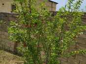 Продаётся 4-комн. дом/дача 120 м², photo 7 from 8