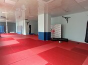 Obyekt - Həzi Aslanov q. - 150 m²