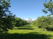 Продаётся  участок 120 сот, photo 8 from 8