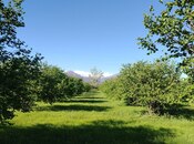 Продаётся  участок 120 сот, photo 7 from 8