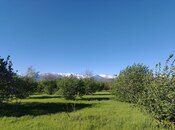 Продаётся  участок 120 сот, photo 5 from 8