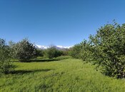 Продаётся  участок 120 сот, photo 6 from 8