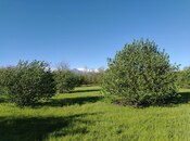 Torpaq - Qəbələ - 120 sot
