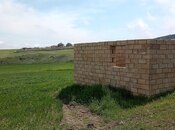 Torpaq - Şamaxı - 12 sot
