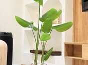Сдаётся 4-комн. дом/дача 350 м², пос. Тюркан, photo 6 from 8