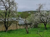 Продаётся  участок 12 сот, photo 8 from 8