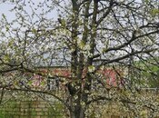 Продаётся  участок 12 сот, photo 7 from 8