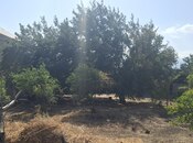 Torpaq - Mehdiabad q. - 10 sot