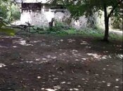 Продаётся  участок 75 сот, photo 6 from 8