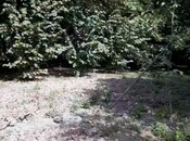 Продаётся  участок 75 сот, photo 5 from 8