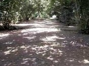 Продаётся  участок 75 сот, photo 8 from 8