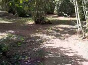 Продаётся  участок 75 сот, photo 7 from 8