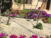 5 otaqlı həyət evi/bağ evi - Badamdar q. - 800 m²