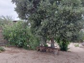 Продаётся  участок 6 сот, пос. Фатмаи, photo 6 from 7