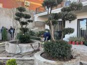 İcarəyə verilir 5 otaqlı həyət evi/bağ evi 330 m², Badamdar q., photo 4 from 8