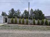 3 otaqlı həyət evi/bağ evi - İsmayıllı - 90 m²